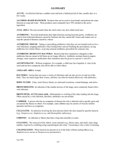 glossary - District 196