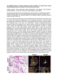 The HAND2 Cistrome in Mouse Embryonic Hearts Identifies its