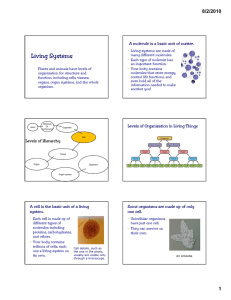 Living Systems