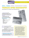 Thoracic Spine radiography - Saint Francis Veterinary Center