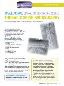 Thoracic Spine radiography - Saint Francis Veterinary Center