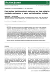Plant surface lipid biosynthetic pathways and their utility for