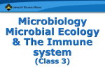 Indigenous Microflora of Humans (cont.)