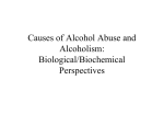 Causes of Alcohol Abuse and Alcoholism