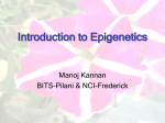 Introduction to Epigenetics - BITS Embryo