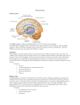 Neuroanatomy Limbic system The limbic system (or