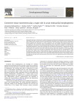 Convective tissue movements play a major role in avian endocardial