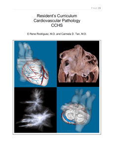 Resident`s Curriculum Cardiovascular Pathology CCHS - e