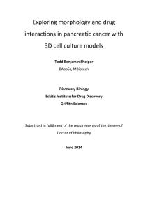 Exploring morphology and drug interactions in pancreatic cancer