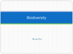 Biodiversity week 5