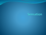 Sensation
