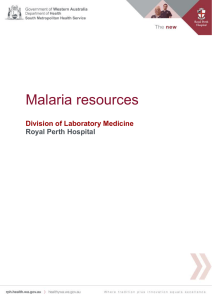 Online Malaria resource (Word 1125KB)