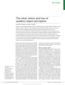 The what, where and how of auditory