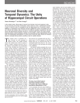 Neuronal Diversity and Temporal Dynamics: The Unity of