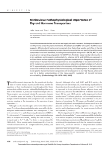 Minireview: Pathophysiological Importance of Thyroid Hormone