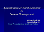 Contribution of rural economy