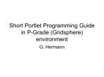 Short Portlet Programming Guide