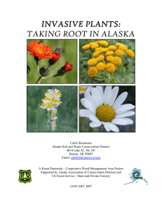 Invasive Plants Taking Root in Alaska 9