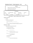 4 Cell Resp Part 2 NT