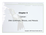 Chapter 5 Cancer: DNA Synthesis, Mitosis, and Meiosis