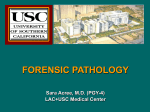 FORENSIC PATHOLOGY - Los Angeles Society of Pathologists