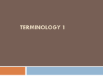 Terminology 1