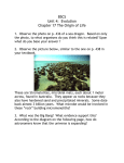 Chapter 17 - Origin of Life