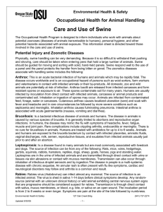 Care and Use of Swine - Student Health Services