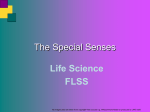 L7 - Special senses  - Moodle