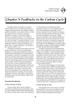 Chapter 3: Feedbacks in the Carbon Cycle