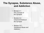 Drugs and the Synapse