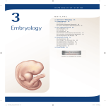 3. Embryology