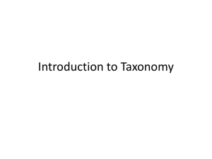 intro to taxonomy - Valhalla High School
