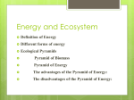 Energy and Ecosystem