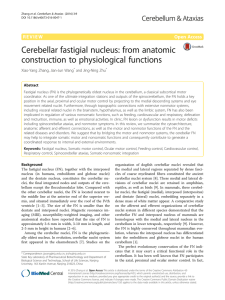 Cerebellar fastigial nucleus: from anatomic construction to