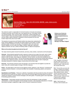 January 2015 Newsletter - Endocrine System