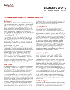 Treatment Recommendations for Feline Pancreatitis