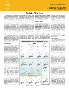 Protein Structure - Particle Sciences