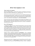 Mitral Valve Dysplasia in Cats - Veterinary Specialty Services