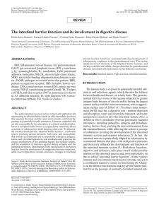 The intestinal barrier function and its involvement in digestive disease