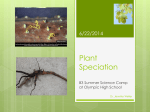 Plant Speciation - Personal Web Pages