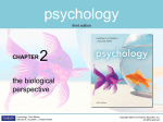 Ciccarelli 2: The Biological Perspective