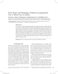 Tissue Tropism and Pathobiology of Infectious Laryngotracheitis
