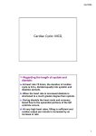 Cardiac Cycle: MCQ - ehs