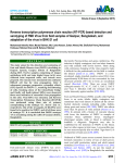 Reverse transcription polymerase chain reaction (RT