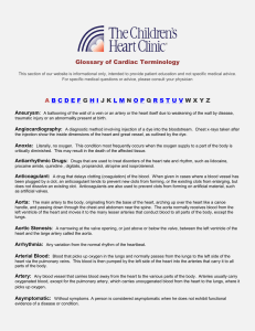Glossary of Cardiac Terminology