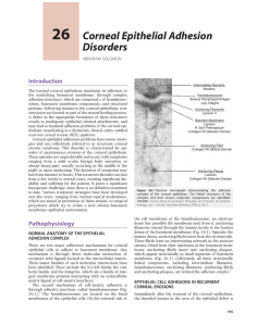 Corneal Epithelial Adhesion Disorders