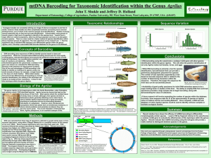 Poster - Department of Entomology