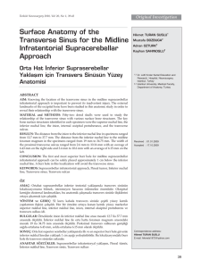 Surface Anatomy of the Transverse Sinus for the Midline
