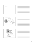 Chemistry primer Atom = the smallest unit of an element Element